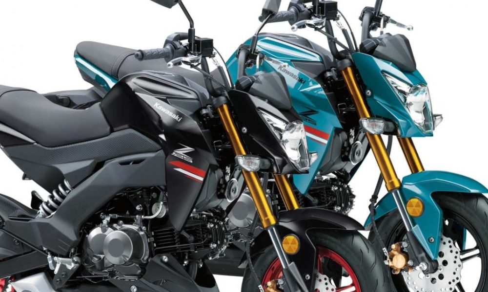 2023 Kawasaki Ninja 125 Specs and Expected Price in India